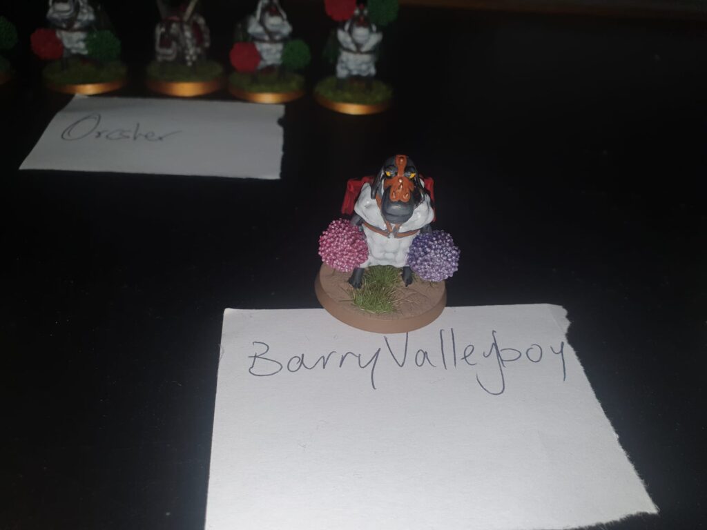 Sheep - BarryValleyBoy