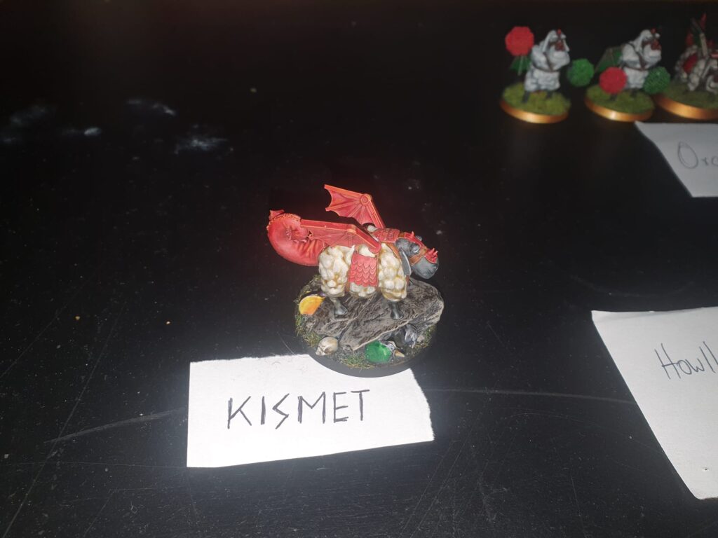 Sheep - Kismet